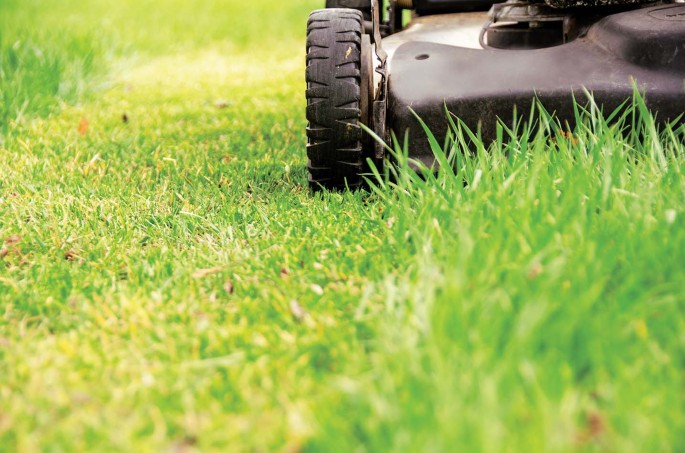 Surface Striping